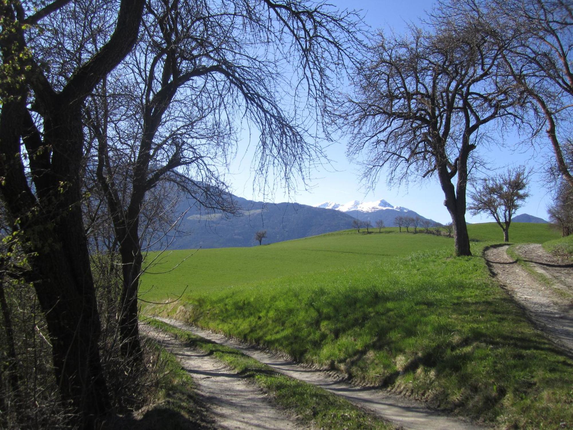 Residence Zum Theater Colle Isarco Bagian luar foto